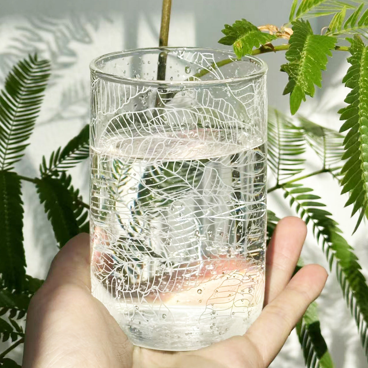 Fern Drink Glass - Tall - Taiwan Original Guanyin Lotus