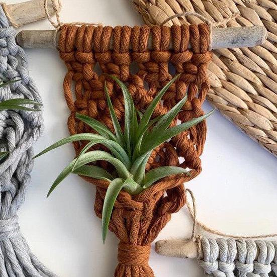 Home Decor Mini Macrame Plant Hangers For Air Plant