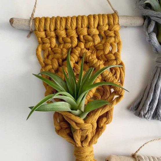 Home Decor Mini Macrame Plant Hangers For Air Plant